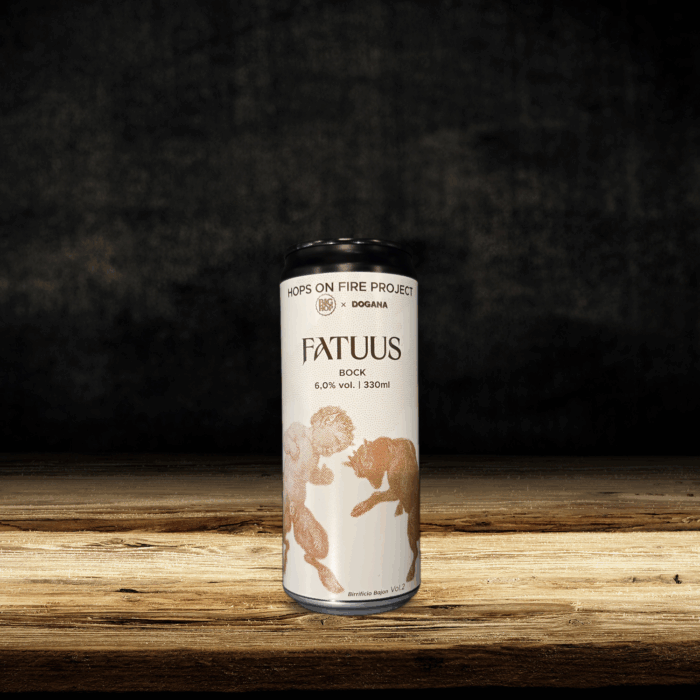 Fatuus - bighop x bajon